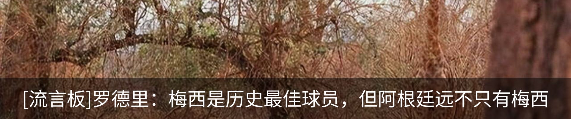 行业资讯